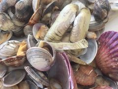 -四海鲜渔家菜(黄金海岸店)