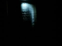 -瑶湖郊野森林公园