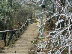 -梧桐山风景名胜区
