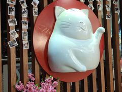 -猫抓烤肉(武进吾悦广场店)