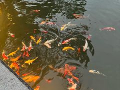 -杭州西湖柳莺里酒店