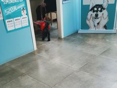 -甄爱宠物医院(疏影路店)