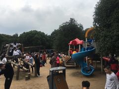 -白马涧龙池景区