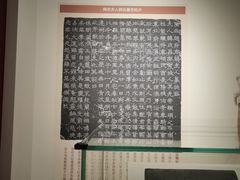 -安阳博物馆
