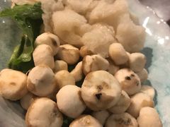 野生珍珠小马蹄-同仁四季椰子鸡(海岸城天利店)