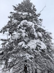 -大秃顶子山