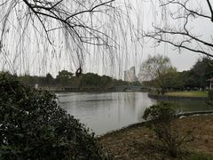 -中央公园(苏州工业园区)