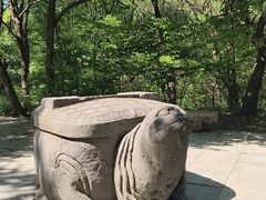 -沈阳市东陵公园
