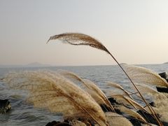 -上海市保健医疗中心(华东疗养院)