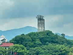 -江心屿景区