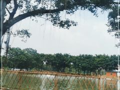 -烟桥私房菜馆(奋哥)