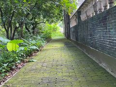 -开平碉楼文化旅游区马降龙景区
