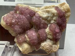 -湖南省地质博物馆