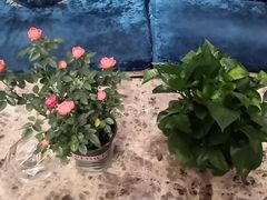 -水丽汇休闲浴馆(香坊店)