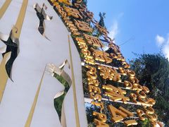 -西双版纳原始森林公园