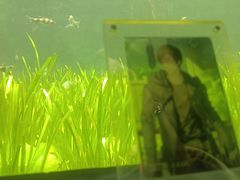 -江和美海洋公园