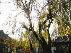 -常熟方塔园