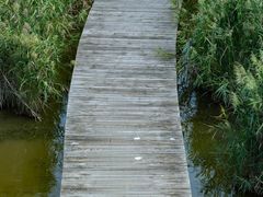 -盐城丹顶鹤湿地生态旅游区