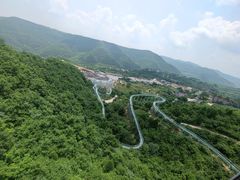 -铜川市金锁关石林