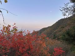 -香山公园