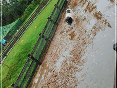 -前小桔亲子创意农场·草莓采摘·露营烧烤