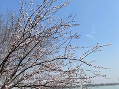 -张公山寨景区