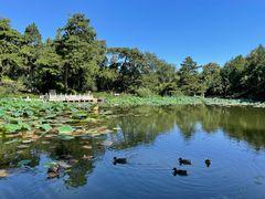 -香山公园
