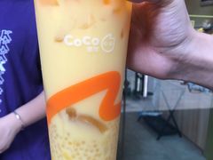 -CoCo都可(惠福店)