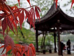 -重庆彩云湖湿地公园