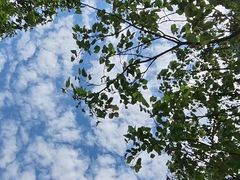 -西山漾湿地公园