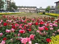 -中国中医科学院西苑医院(本部)