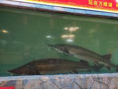 -年辉渔村