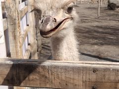 -水上乐园·欢乐世界