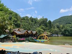 -西双版纳原始森林公园