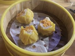 -肥佬夜茶(早茶·西乡店)