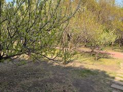 -黑龙江省森林植物园