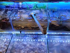 水产区-福州西湖大酒店·怡湖咖啡厅