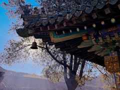 -潭柘寺景区