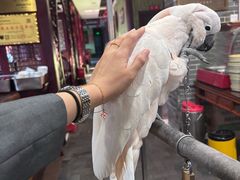 -四海楼(如皋定慧禅寺店)