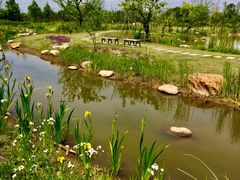 -上海长兴岛郊野公园