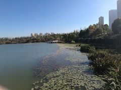 -洛龙公园