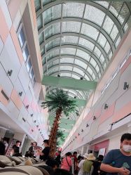 点击看大图 -复旦大学附属妇产科医院(杨浦院区)