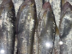 -龙宴海鲜城(经中路店)