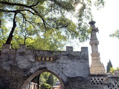 -大槐树寻根祭祖园