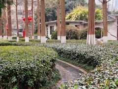 -郑和公园