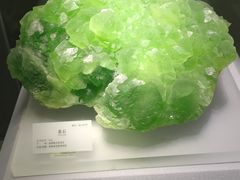 -湖南省地质博物馆