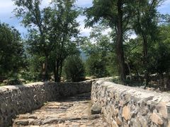 -阳台山自然风景区