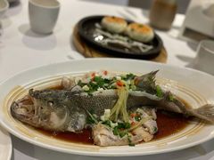 清蒸鲈鱼-眉州东坡(华联万柳店)