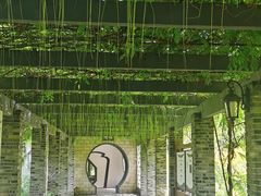 -龙寺生态园