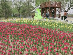 -廊坊文化艺术中心